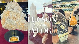 TUCSON GEM SHOW VLOG 2022 DAY 4 | FOSSILS, DINOS, MINERAL CITY ! CRYSTAL SHOP WITH ME!