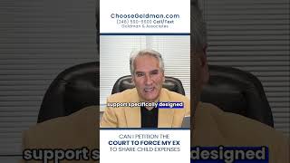 Can I Petition the Court to Force My Ex to Share Child Expenses - ChooseGoldman.com