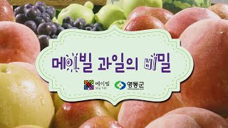 달고 맛있는 영동 메이빌 과일의 비밀✨ 그 비밀이 궁금다다면 Click 👆