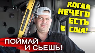 КОГДА НЕТ ЕДЫ в США! БОРЮСЬ С ВРАГОМ в ТРАКЕ! Выживаю на диком ЗАПАДЕ. В чем ПРОБЛЕМА РАБОТЫ в США?