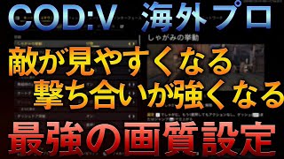 〖COD:V〗海外プロが使う最強の高画質設定