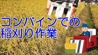 【音量注意！！】コンバインでの稲刈り作業風景　2022年9月