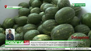 Роспотребнадзор проводит профилактический рейд по точкам продаж бахчевых культур