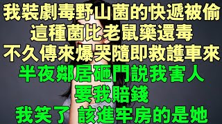 我裝劇毒野山菌的快遞被偷了，如果不處理這種菌比老鼠藥還毒。尋找後無人歸還。晚餐後傳來一陣爆哭隨即救護車趕來。半夜鄰居老太婆砸門，說我害人要我賠錢。我笑了她想藉著野山菌殺人該進牢房的是她#完結 #故事