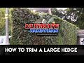 How to trim a large hedge