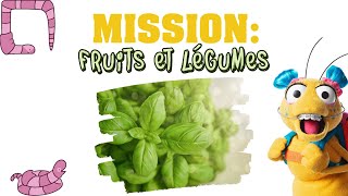 Mission fruits et légumes - Une mission santé pour en connaître plus sur le basilic