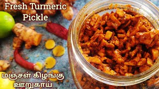 Raw Turmeric Pickle Recipe in Tamil - Manjal kizhangu oorukai - Turmeric Pickle