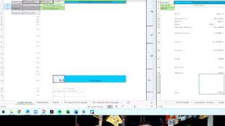 Half Screen Single Sample Final Project example
