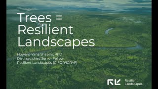 Introducing Resilient Landscapes