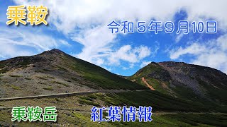 乗鞍岳－「紅葉情報」　秋晴れの雲が奇麗な乗鞍岳。今回は山の紅葉の状況を主に撮影しました。全体的にはまだまだですが、ポイントとしてはナナカマドの紅葉が進んでいるのがあります。（2023.09.10）