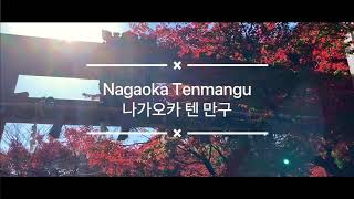 Go to Kyoto Autumn Leaves [Nagaoka Tenmangu] (Kyoto Vlog)