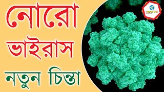 NoroVirus নিয়ে নতুন করে চিন্তা England এ। What is NoroVirus। norovirus outbreak।