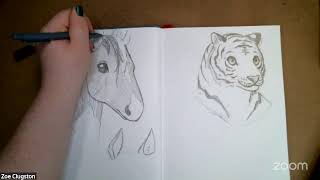 Art Class, Pencil Drawing, Animals - January 20, 2025