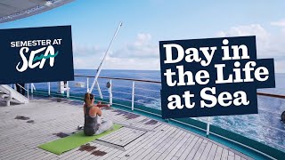 Day in the Life of a College or Gap Year Student at Semester at Sea
