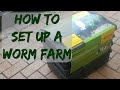 How to set up a worm farm