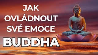 Buddha | Pochopení podstaty emocí