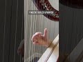 🎵 Here are the top three mistakes beginner harpists make and how to pluck past them! 🎶
