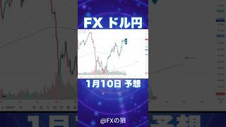 【FX ドル円】2025年1月10日のドル円最新予想。今日はアメリカ雇用統計！失業率に注目。