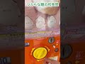 【ガチャ】ふわふわ！つぶらな瞳の和食屋　 ガチャガチャ shorts