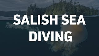 Underwater footage of the Salish Sea