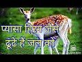 प्यासा हिरन जैसे ढूंढे हैं जल को।pyasa hiran jaise dhunde hai jal ko. Devotional songs