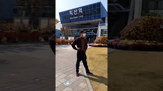 22.10.28익산천만송이국화축제 송나잇#shorts