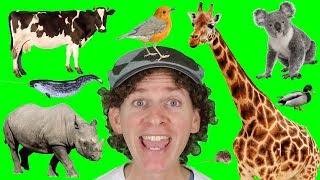 A to Z Alphabet Animals Chant Part 2 with Matt | Learn Animals Names | Alphabet for Kids