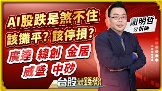 2023.09.19 謝明哲分析師【AI股跌勢煞不住、該攤平? 該停損? 廣達(2382)、緯創(3231)、金居(8358)、威盛(2388)、中砂(1560)?! 】#台股最錢線