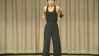 Kung Fu Masters 1988 Shaolin Hung Gar \u0026 Moy Yat Ving Tsun.mp4