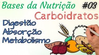CARBOIDRATOS : Digestão Absorção e Metabolismo - Bases da Nutrição 03