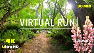 Virtual Running Videos for Treadmill - Virtual Run 4K - Valley Ponds - Scenery Tasmania Treadmill