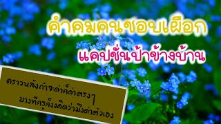 คำคมคนชอบเผือก | แคปชั่นป้าข้างบ้าน