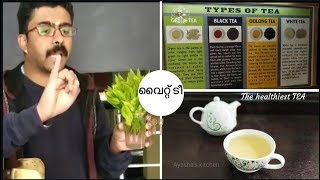 White Tea || Different types of Tea / Ootty Tea Factory Visit  / Oolong Tea / Green Tea