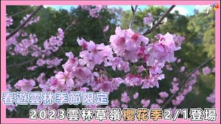 春遊雲林季節限定 2023雲林草嶺櫻花季2/1登場