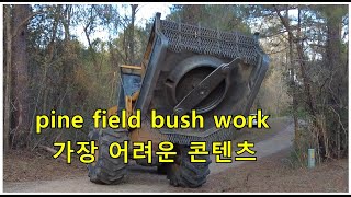 대륙을 다니는 나에게 가장 어려운 영상은 이것입니다. pine thorn bush work.