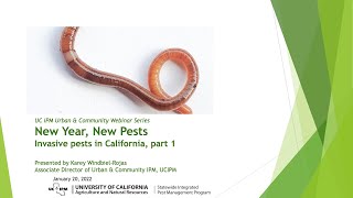 New Year New Pests: Invasive Pests in California, part 1