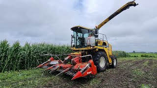 Extreme early Corn Harvest 2021