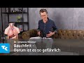 Gefährliches Bauchfett I Dr. Johannes Wimmer