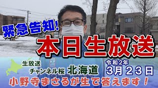 【緊急告知】「小野寺まさるが生で答えます！」本日３月２３日夜８時～お楽しみに！