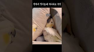 몽몽이가 김로미랑 손절한이유ㅋㅋㅋㅋ #다시보고싶은영상