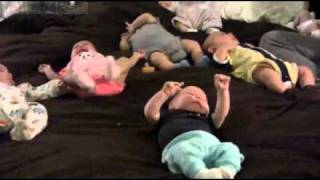 Octomom disses Jon and Kate Plus 8