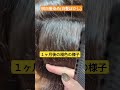 【褪色後】白髪ぼかしの１ヶ月後の様子です‼ nobleach hair 上品 脱白髪染め shorts color 中村チャンネル 美容室 atelierletemps