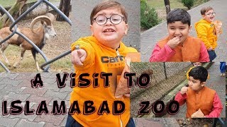 Cute Ahmad shah Enjoyed in A Zoo latest Video