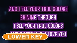 True Colors (Karaoke Lower Key) - Cyndi Lauper