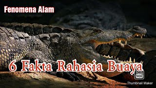 6 FAKTA BUAYA YANG JARANG DIKETAHUI