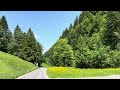     🌿 If Peace Had a Sound, This Would Be It