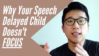 Why Your Speech Delayed Child Can't Concentrate and Focus