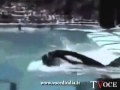 MOMENT OF DEAD Dawn BrancheauExclusivo momento q a baleia Orca mata treinadora Dawn Brancheau wmv