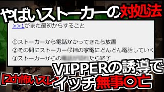 [2ch怖いスレ]VIPPERの誘導で、ストーカー被害のイッチ無事〇亡[ゆっくり解説]