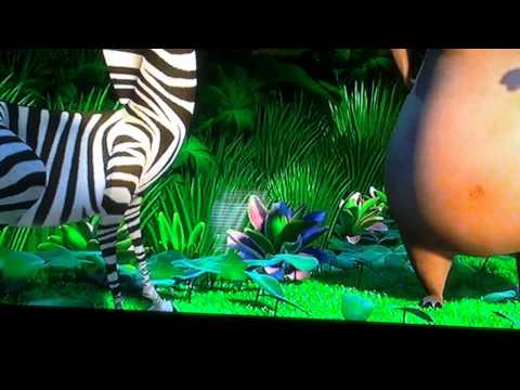 Madagascar alex tries to escape
